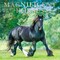 Plato; Magnificent Horses | 2027 12 x 24 Inch (Hanging) Monthly Square Wall Calendar | Foil Stamped Cover; Category:Wall Calendars; Image:2